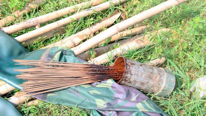 Đàn[-]chim[-]bị[-]khâu[-]mắt[-]để[-]nhử[-]đồng[-]loại[-]ở[-]Hà[-]Tĩnh